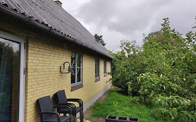 Hjortdal B&B